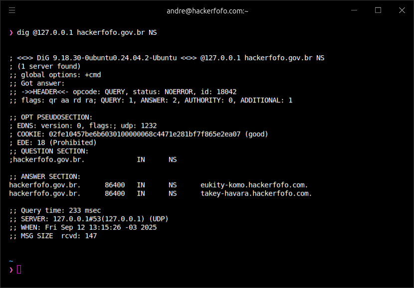 Registros com um TTL alto